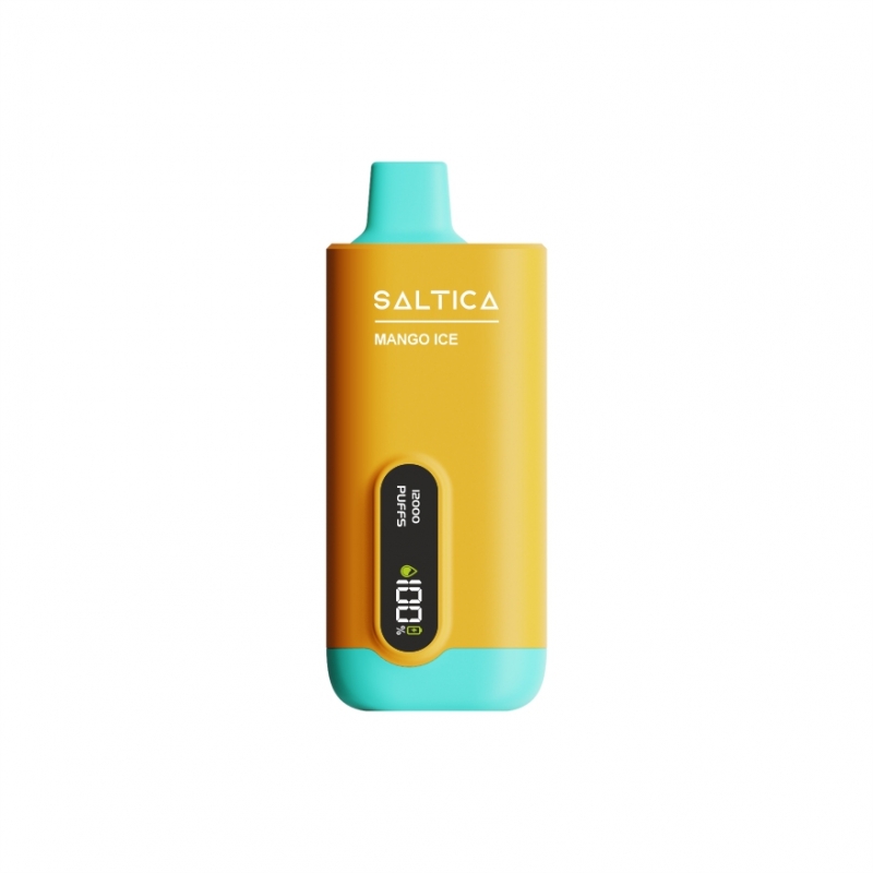 Saltica Ekranlı 12000 Mango Ice Disposable Vape Bar